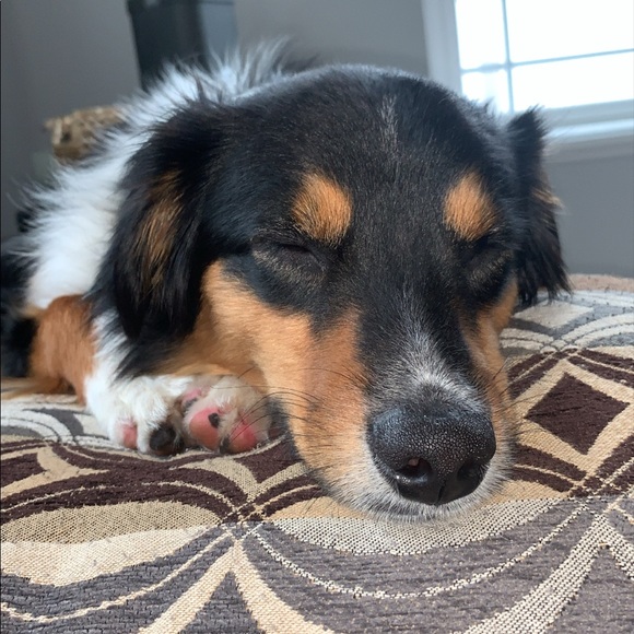 Meet your Posher, Brenna - Picture 10 of 12